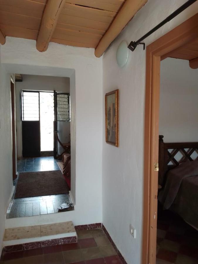 La Casita En La Alcornocosa -Sevilla Luaran gambar